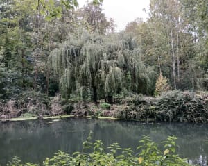 Découverte de l'Avre à Thezy-Glimont - sophie - 10