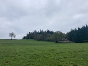 Mise au vert au cœur du bois de Majorat et vers Vesancy - Christine - 6