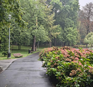 Spacer po Raciborzu - Racibórz - 2