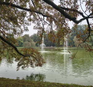 Spacer po Raciborzu - Racibórz - 5