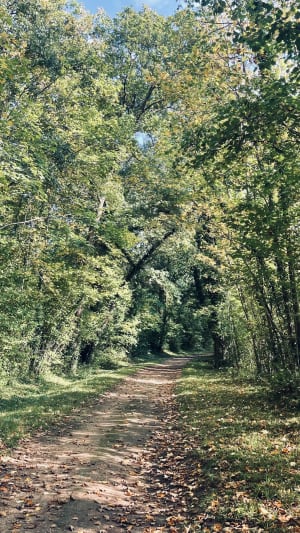 Sortie nature ‍vers Crugny - Cathy - 4
