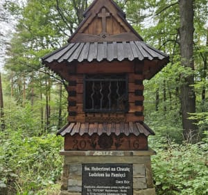 Lasy Rudzkie - Aleksadner - 3