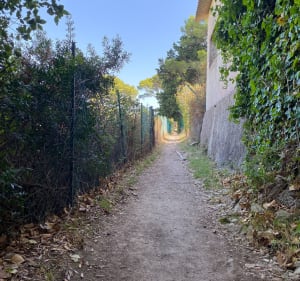 Petite boucle départ du cimetière de Saint-Mandrier - Saint-Mandrier-sur-Mer - 2