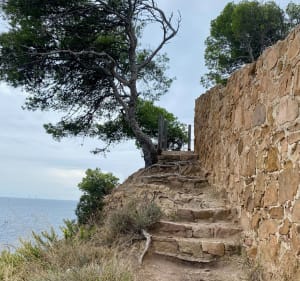 Petite boucle départ du cimetière de Saint-Mandrier - Saint-Mandrier-sur-Mer - 3