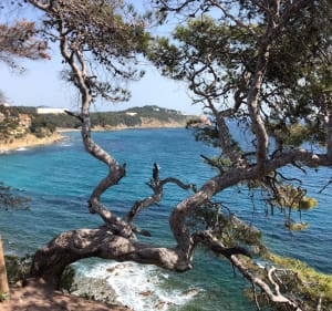 Petite boucle départ du cimetière de Saint-Mandrier - Saint-Mandrier-sur-Mer - 5
