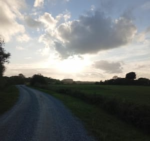 Chemin de la Durantiere - JEAN JACQUES - 5