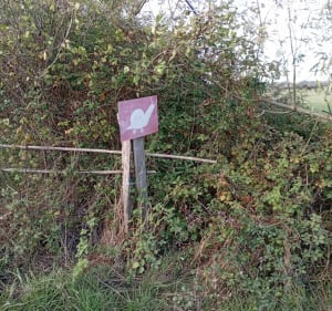 Chemin de la Durantiere - JEAN JACQUES - 2