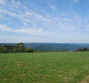 Rando trail, marche, vtt à Argentat-sur-Dordogne - frederic - 2