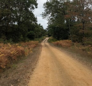 Autour de Laglorieuse - Xavi - 3