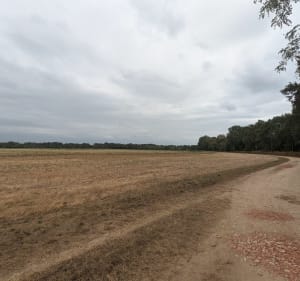 Autour de Laglorieuse - Xavi - 5