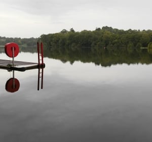 Suivre l'Erdre et Carquefou - Aliénor - 5