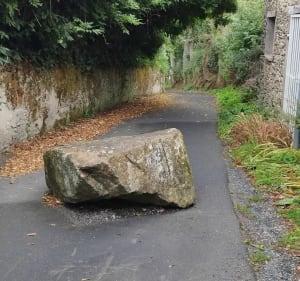Suivre l'Erdre et Carquefou - Aliénor - 2