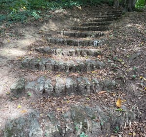 JOUY EN JOSAS SENTIER OBERKAMPF - JEAN LOUIS - 5