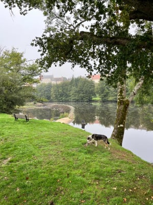 Balade sur les bords de Creuse - CAROLINE - 7