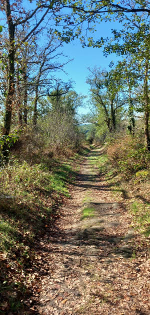 Sentier des peintres, autour de la forteresse de Crozant - Marc - 7