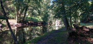 Sentier des peintres, autour de la forteresse de Crozant - Marc - 4