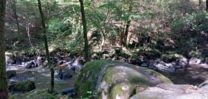 Sentier des peintres, autour de la forteresse de Crozant - Marc - 6