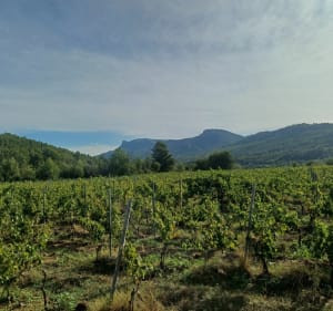 Balade de Grand Boise à Kirbon - Rémi - 3