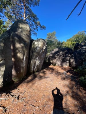 Fontainebleau et bouillonnement d'histoires en roulant - Akemi - 2