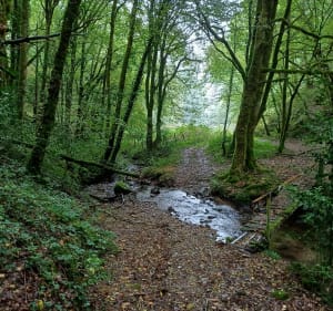 Parcours marche à Monceaux-sur-Dordogne et Puy du Tour - frederic - 2