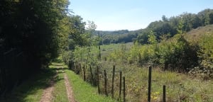D'un château à l'autre, Bouliac, ses forêts et coteaux - Bouliac - 3