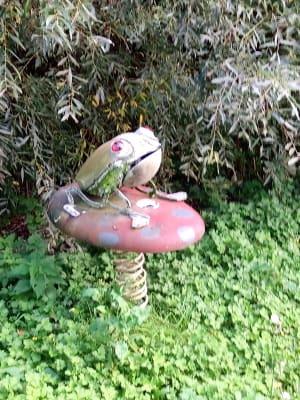 Sur les pas de Robinson par Attin et La Calotterie - GUY - 5