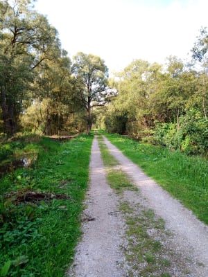 Sur les pas de Robinson par Attin et La Calotterie - GUY - 6