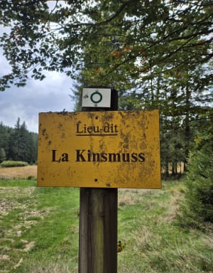 Tour de la Kinsmuss et mystères brumeux en terres Vosgiennes - Séverine - 2