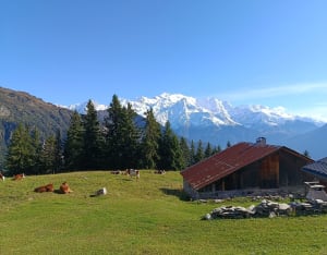 Boucle de Barmus via le lac Vert - Camille - 4