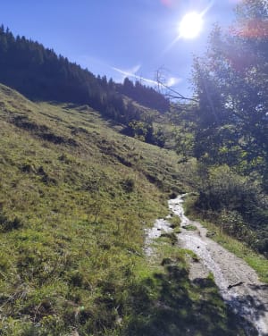 Petite virée savoyarde et beautés lacustres du Beaufortain - Fabien - 2
