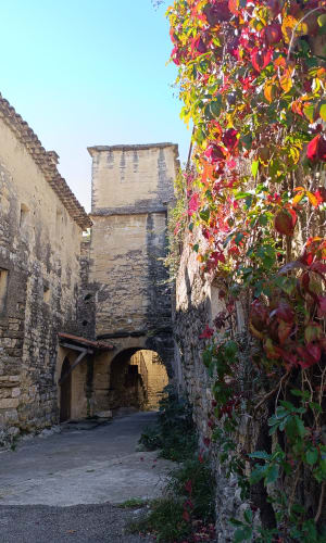 Sainte-Anastasie : trip top au pont Saint-Nicolas de Campagnac - cecile - 7