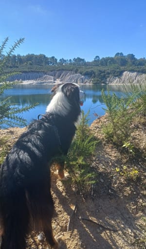 Randonnée autour des lacs secrets de Guizengeard - Karine - 3