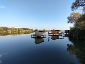 Vijver van Puttelange-aux-Lacs en geniet van het huidige moment - MICHELE - 2