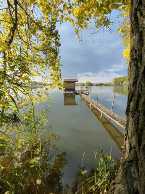 Vijver van Puttelange-aux-Lacs en geniet van het huidige moment - MICHELE - 6