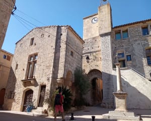 Sortie Cournonsec et Mas d'Arnaud - Véronique - 5