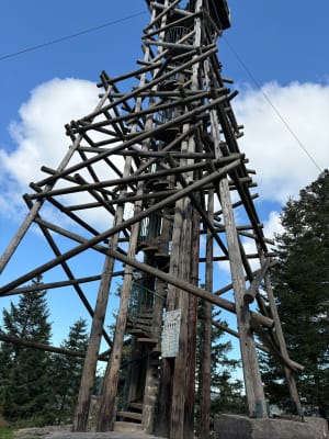 Petit trek entre cascade et tête de Mérelle - Gerardmer - 7
