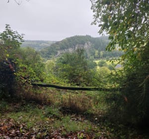 La butte de Gromonts - champs - 3