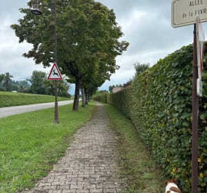 Petite boucle sympathique à Viuz-la-Chiésaz - Viuz-la-Chiésaz - 5