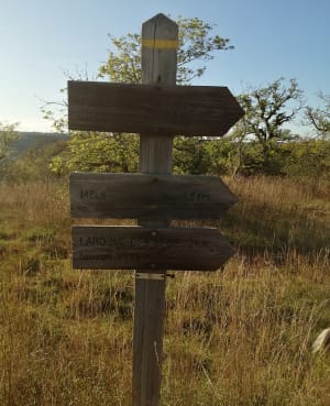 De Mels au point de vue sur le Lot au dessus de Lamagdelaine - C - 8