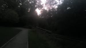 Balade entre le canal de Chelles et la Marne - Vincent - 13