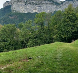 Pointe de Talamarche - Thônes - 4