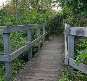 Balade à Pont-Saint-Pierre - Pont-Saint-Pierre - 4