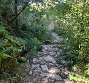 Pont des chartreux direction grotte frochet - olivier - 2
