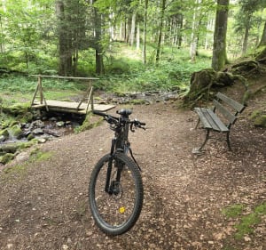 Le royaume du Single autour de Mittelbergheim - Mittelbergheim - 3