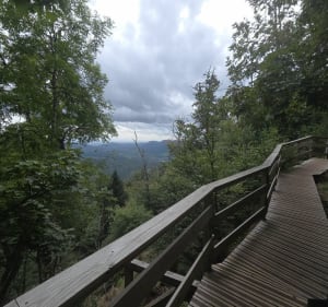 Le royaume du Single autour de Mittelbergheim - Mittelbergheim - 5