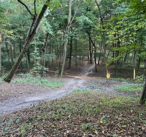 Park w Puławach - Tomasz - 4