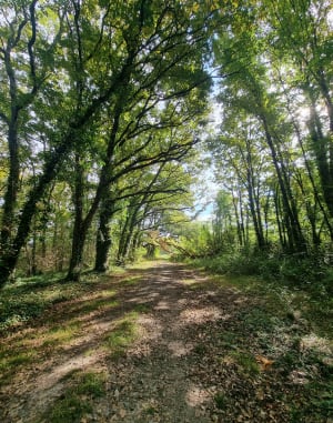 Circuit du pont des Gouttes et son superbe paysage agricole - Virginie - 3