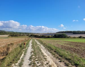 Balade dans les champs et Vallée Tortue - Marie-Hélène  - 2