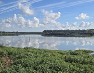 Biodiversité du Marais d'Orx et ses superbes observatoires - Adélie - 5