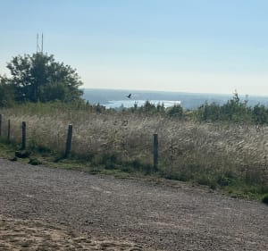 Circuit sur la route de la vallée de la Mauldre - Châteaufort - 2